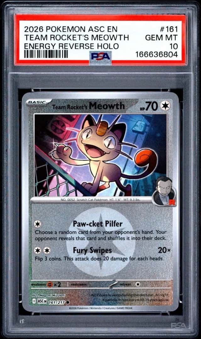 Team Rocket's Meowth