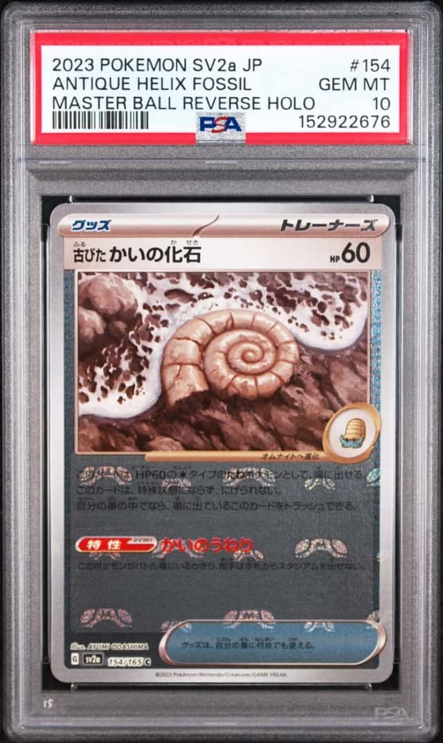 Antique Helix Fossil
