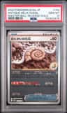 Antique Helix Fossil