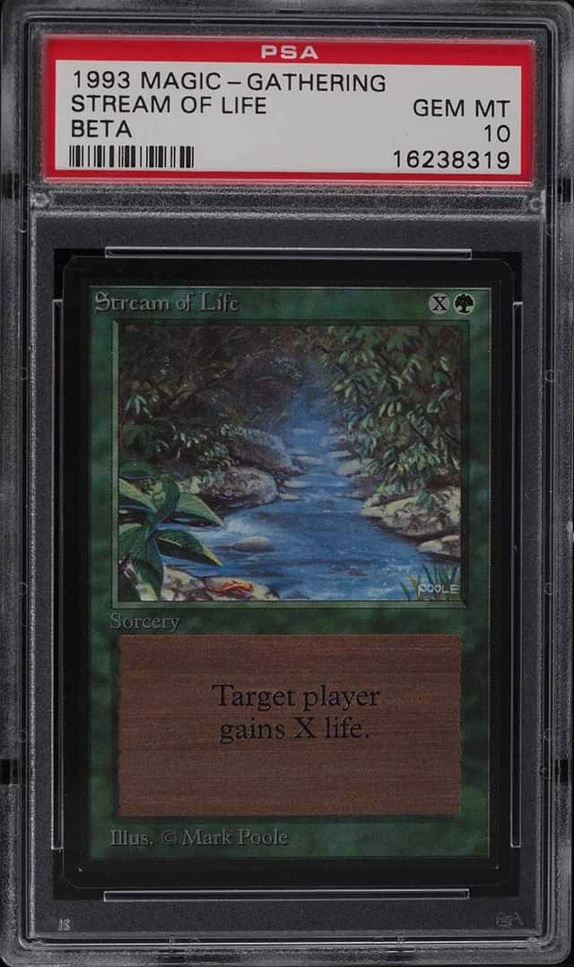 Stream of Life