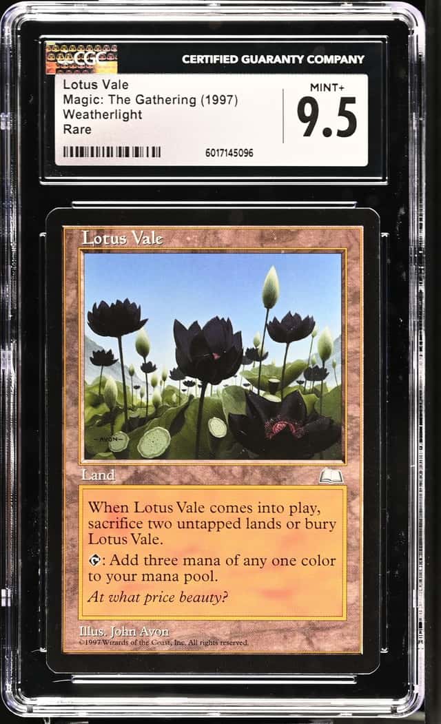 Lotus Vale