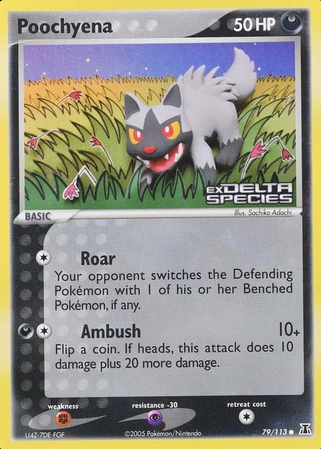 Reverse Holo