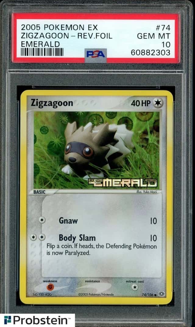 Zigzagoon