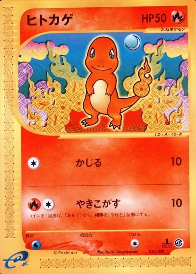 1st Edition