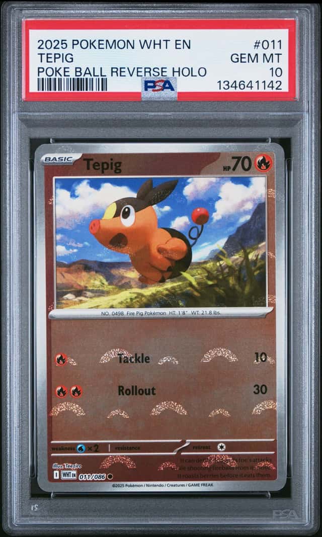 Tepig