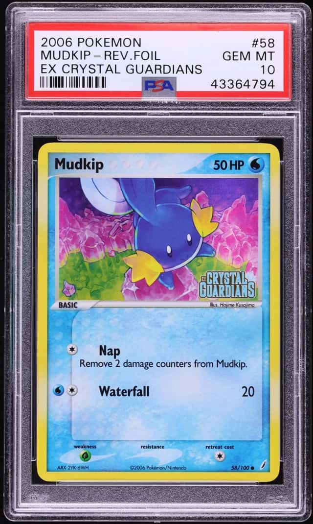 Mudkip