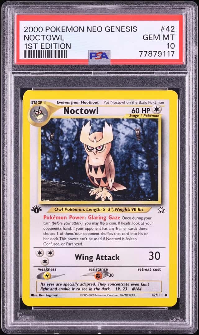 Noctowl