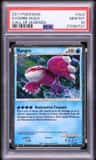 Kyogre