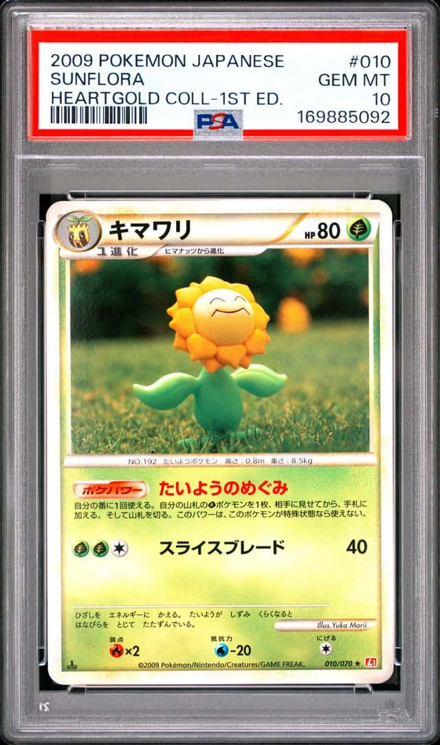 Sunflora