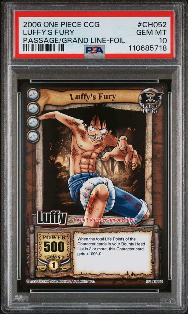 Luffy's Fury