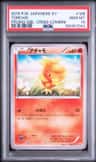 Torchic