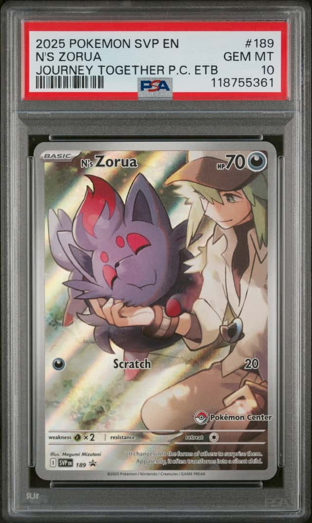 N's Zorua