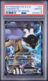 Raikou Ex