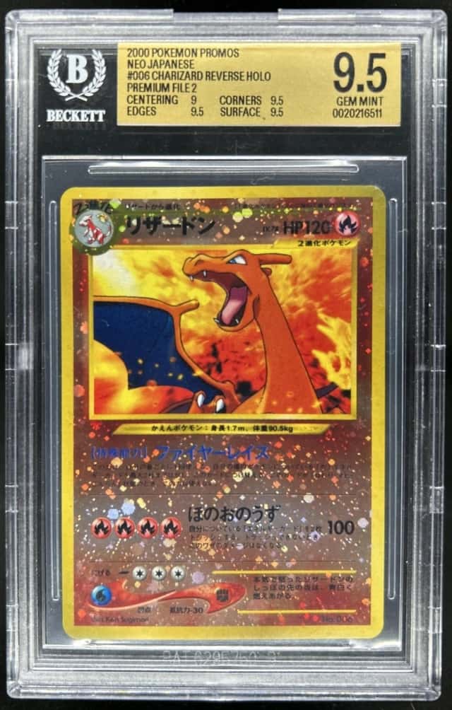 Charizard HOLO/(Premium File 2)
