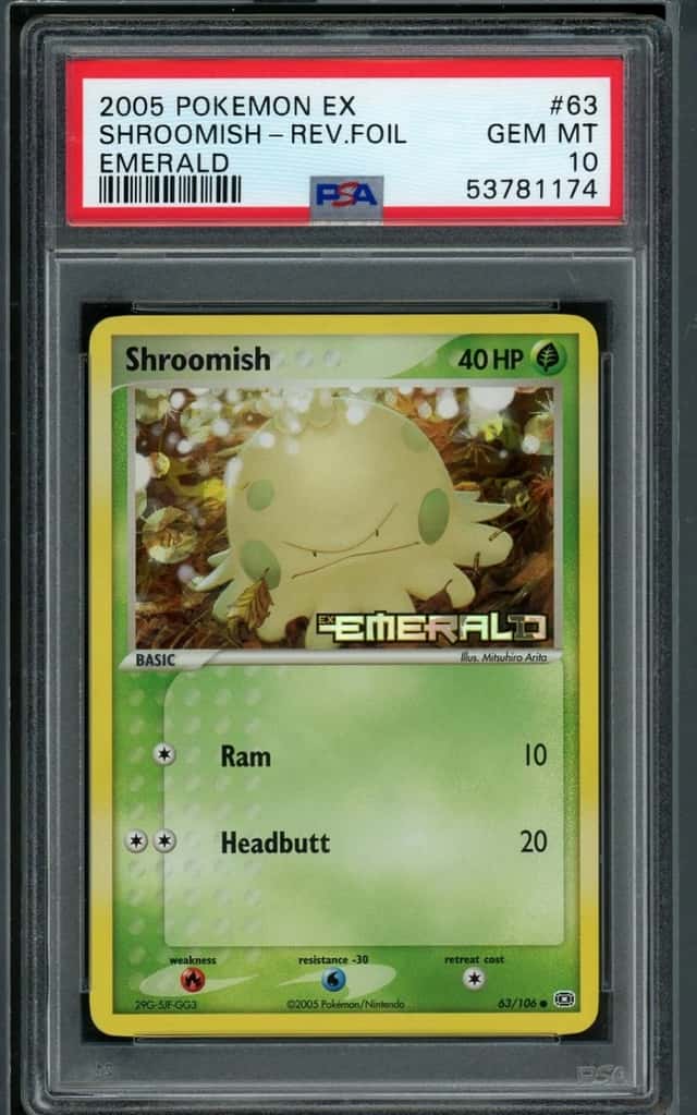Shroomish