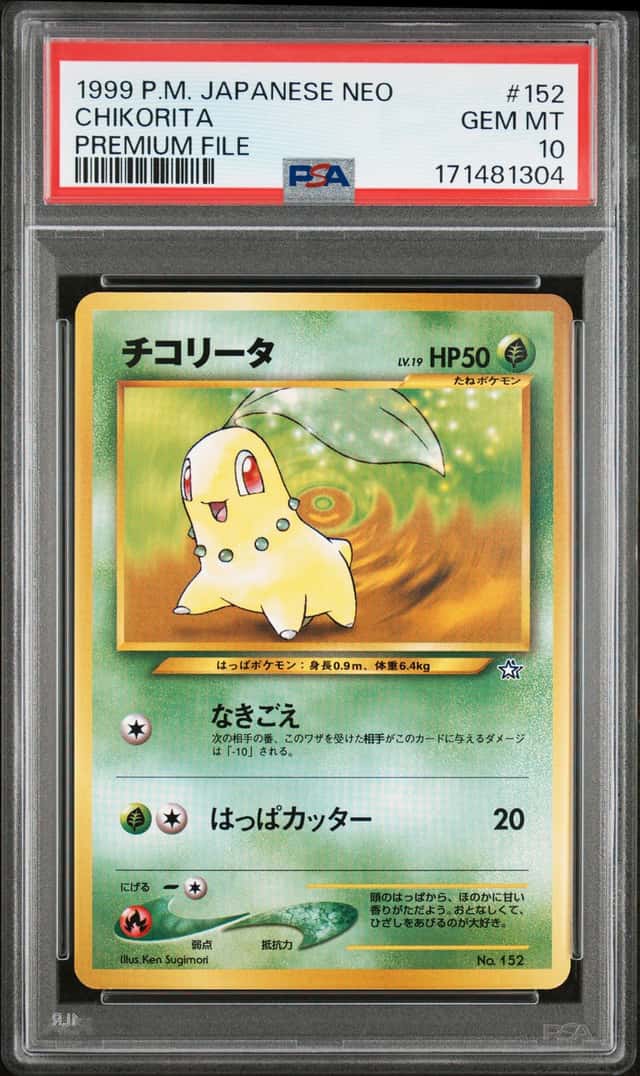Chikorita