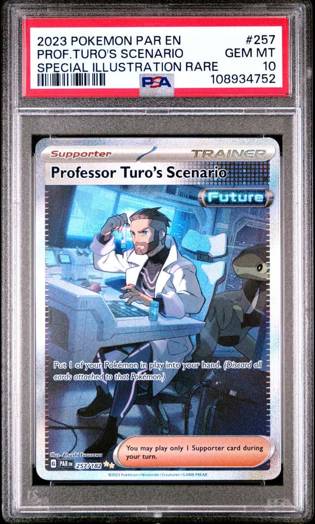 PROF.TURO'S SCENARIO