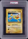 Pikachus Smr.vacation