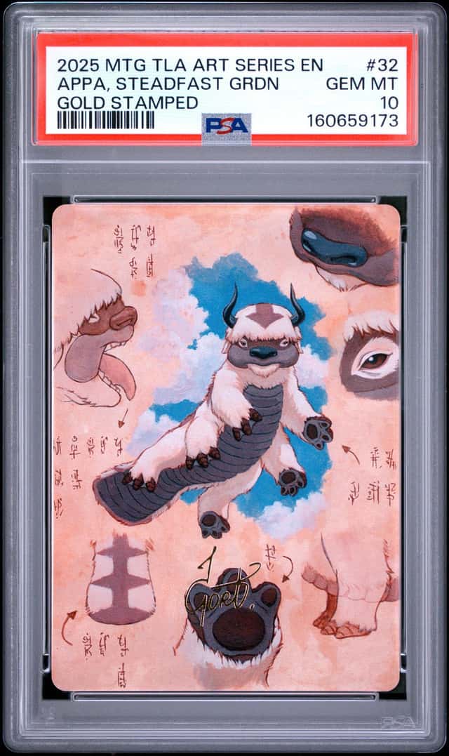 APPA, STEADFAST GRDN