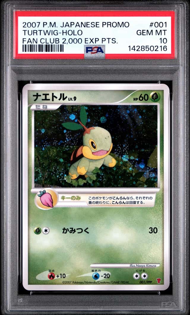 Turtwig