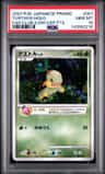 Turtwig