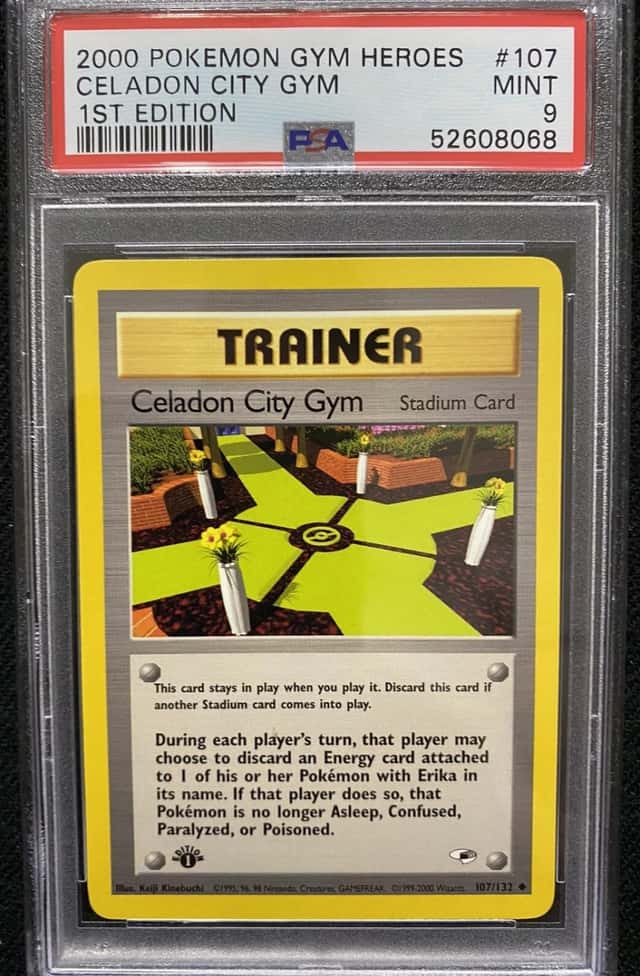 CELADON CITY GYM