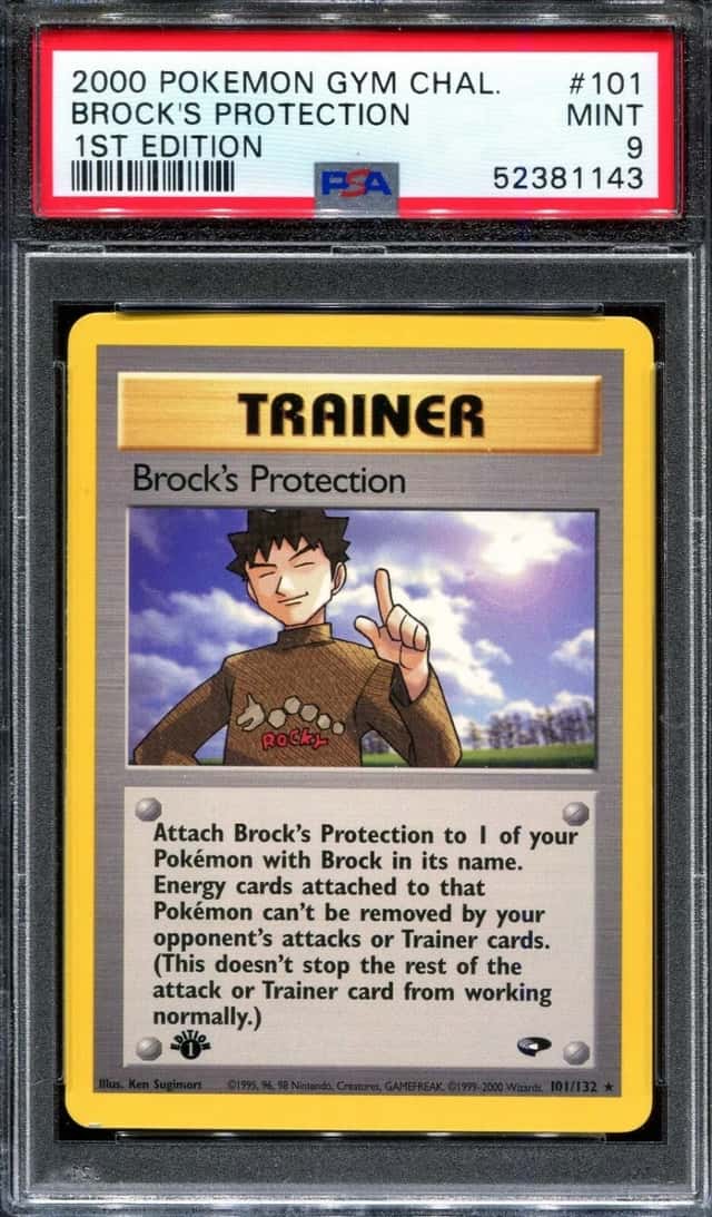 Brock's Protection