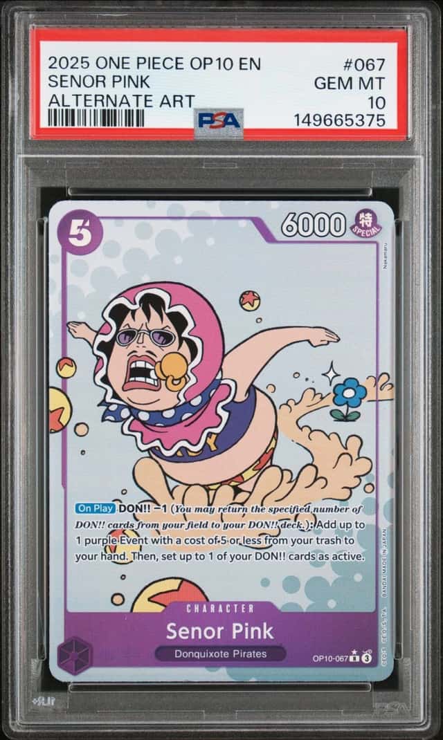 Senor Pink