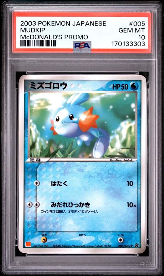 Mudkip