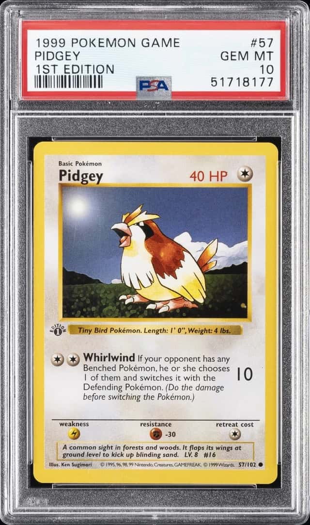 Pidgey