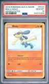 Riolu