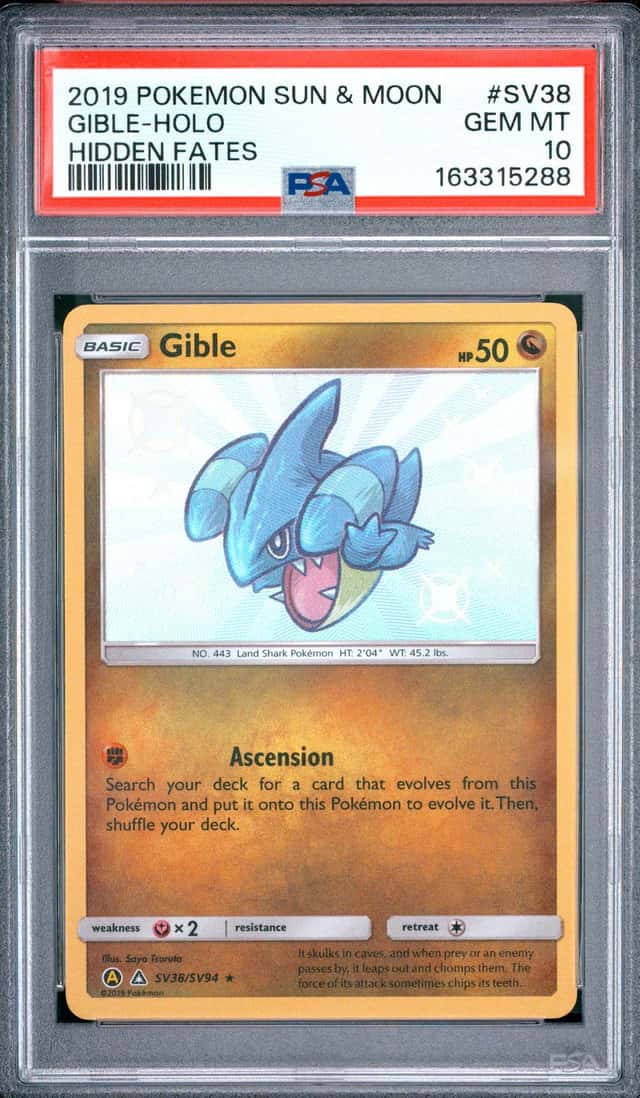 Gible