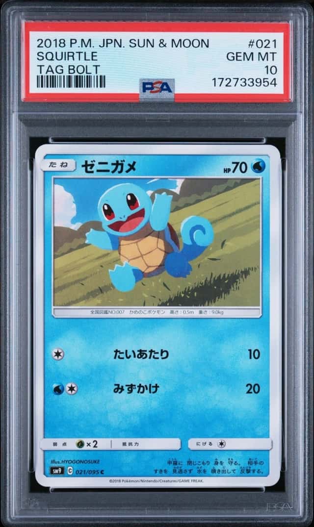 Squirtle