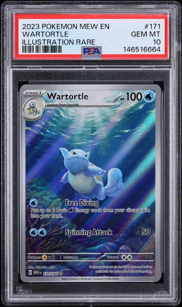 Wartortle