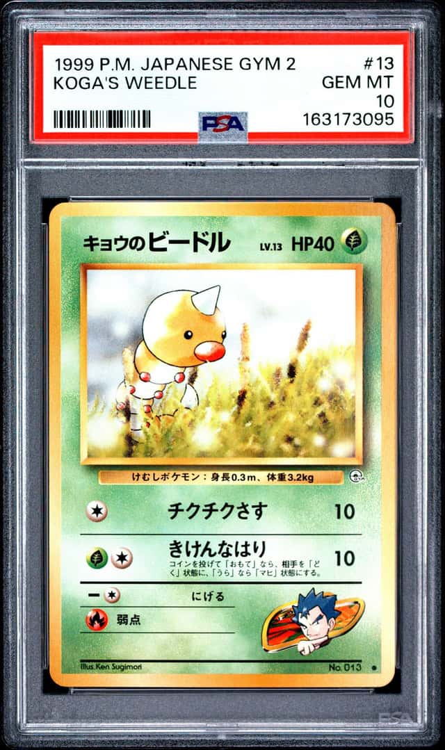 Koga's Weedle