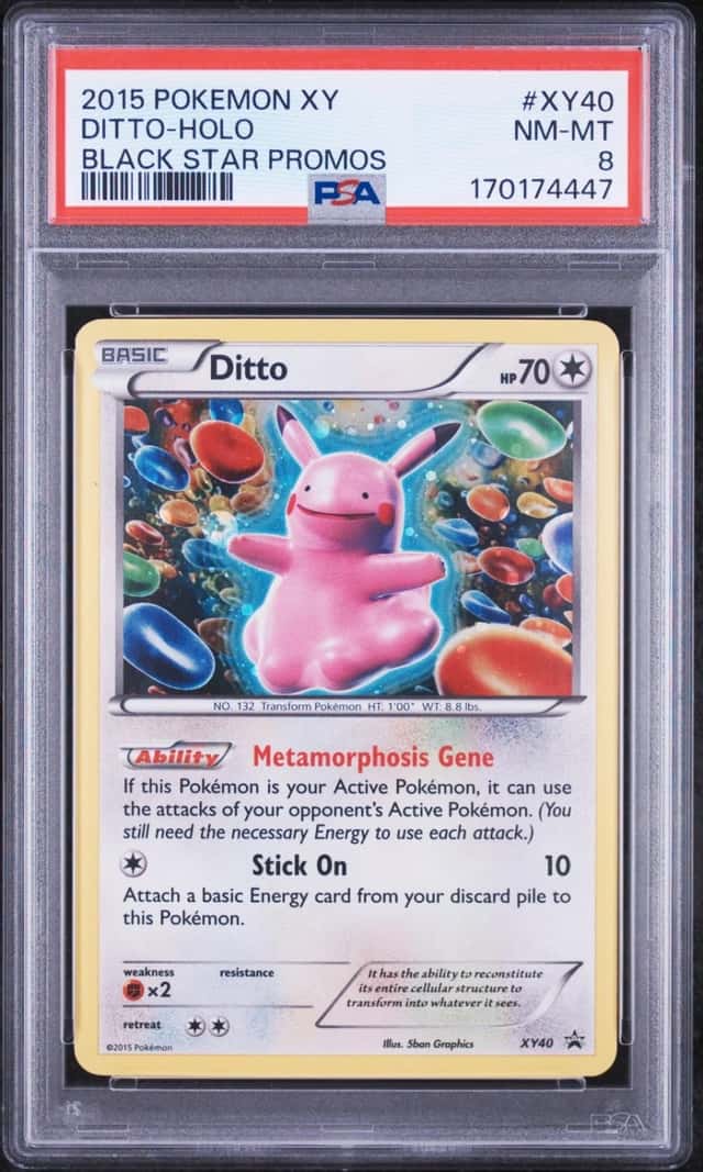 Ditto