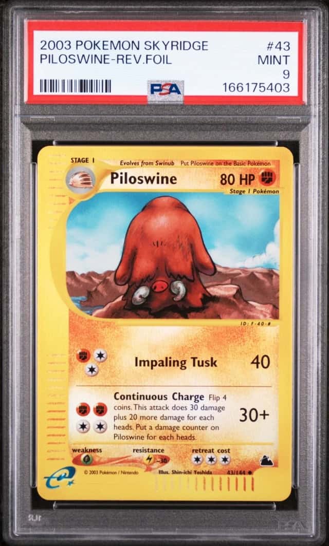 Piloswine