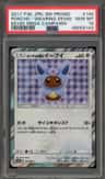 Poncho-Wearing Eevee