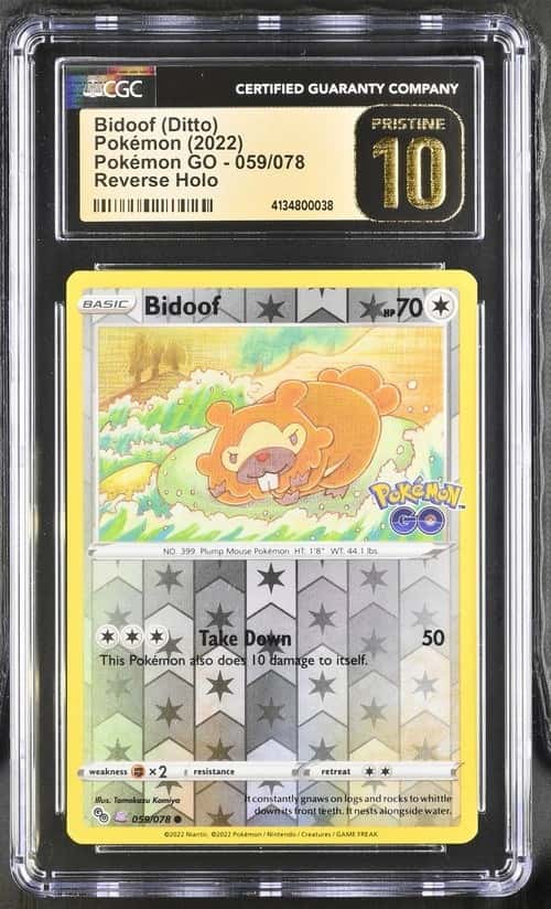 Bidoof