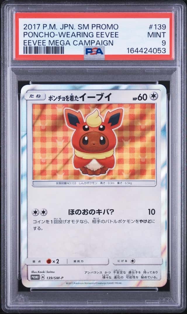 Poncho-Wearing Eevee