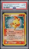 Torchic