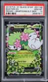 Shaymin Ex