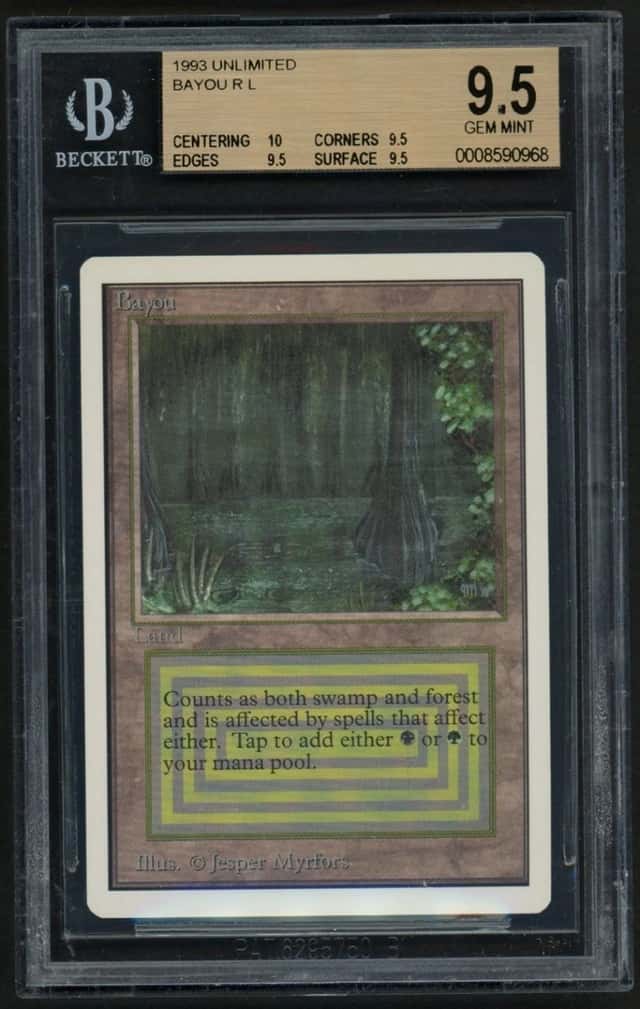 Bayou