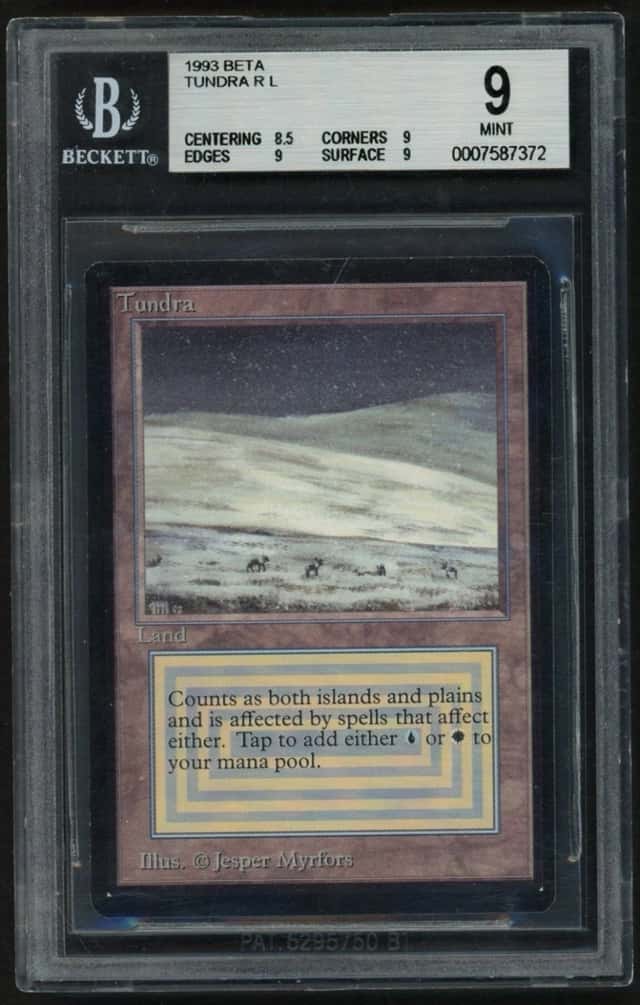 Tundra R :L: