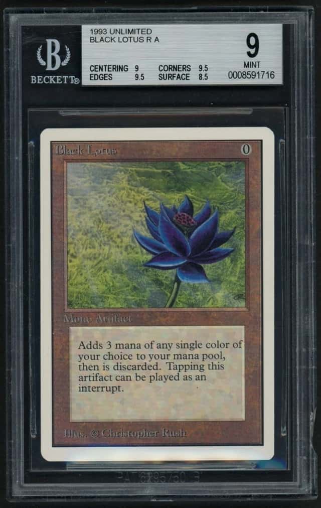 Black Lotus