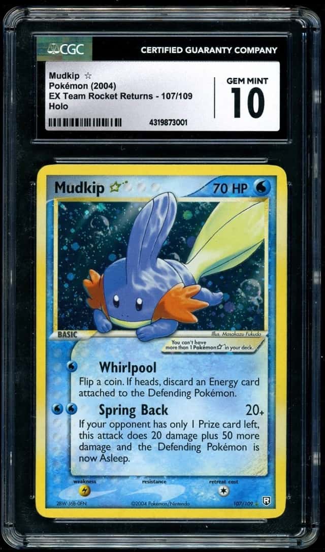 Mudkip
