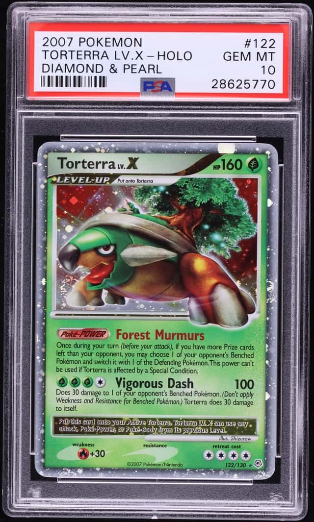 Torterra Lv X