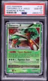 Torterra Lv X
