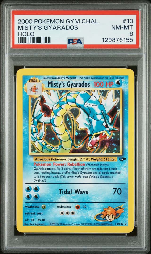 Misty's Gyarados