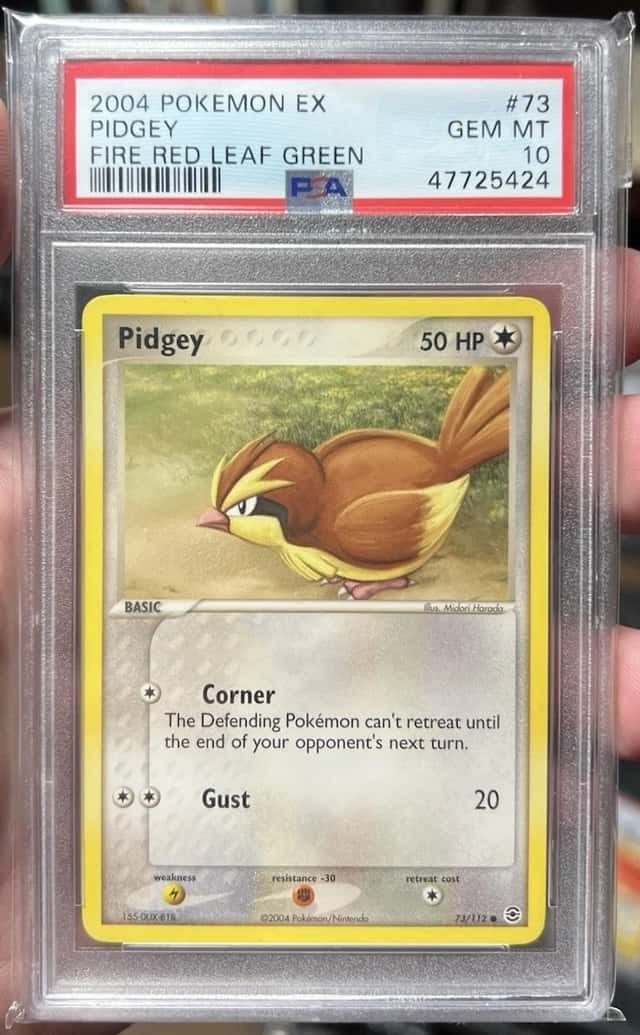 Pidgey